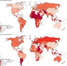 In 2020, there were 2.3 million women diagnosed with breast cancer and 685 000 deaths globally. Global Burden And Trends In Premenopausal And Postmenopausal Breast Cancer A Population Based Study The Lancet Global Health