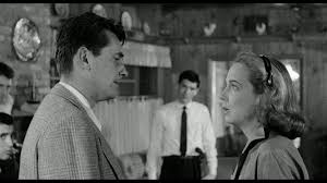 Stone and starring vince edwards, john cassavetes and jack kelly. The Night Holds Terror The Robert Taylor Odyssey