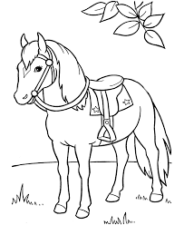 Printable arabian horse coloring pages. Horse Coloring Pages Ideas Whitesbelfast Com