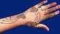 Easy Simple Mehndi Designs For Back Hands