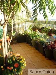 The Edible Balcony Book Edible Balcony Awash With Morning Sun Apartment Balcony Garden Small Balcony Garden Balcony Garden