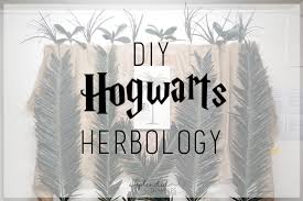 Create your own potions class, explore magical creatures, or enjoy some herbology. The Ultimate Hogwarts Dinner Event How To Create A Herbology Class