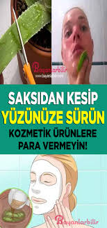 Yuz Ve Cilt Icin Aloe Vera Maskesi Aloe Vucut Yaglari Dogal Saglik