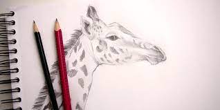 Pour réaliser une girafe, il vous suffit de baisser le majeur à moitié. Comment Dessiner Une Girafe Anatomie Et Portrait Apprendre A Dessiner Avec Dessin Creation