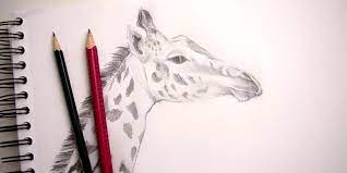 Check spelling or type a new query. Comment Dessiner Une Girafe Anatomie Et Portrait Apprendre A Dessiner Avec Dessin Creation