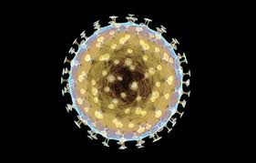 Examination of dead body disease: Fivestar Diagnostic Centre Precision In Diagnosis