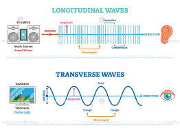 Longitudinal And Transverse Wave Type Vector Illustration Scientific Diagram Longitudinal Wave Waves Physics Lessons