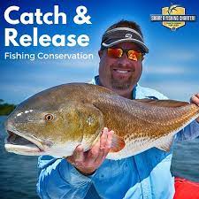 Catch Release Fishing Fishing Charter Reports Deals Saltwater Fishing Fishing Tips Fly Fishing