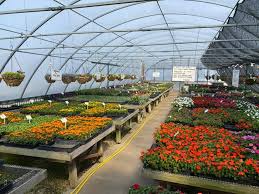 Check spelling or type a new query. Pine S Garden Center And Greenhouse Posts Facebook