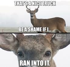 Pin By Caylin Treadwell On Funny Funny Animal Jokes Funny Hunting Pics Hunting Jokes