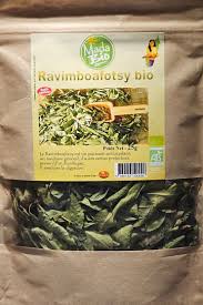 Image result for Aphloia theiformis