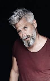36 Ideas For Hairstyles Men Beard Silver Foxes Grey Hair Men Older Mens Hairstyles Grey Beards