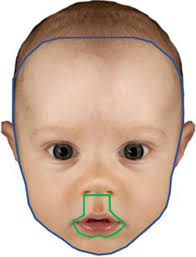 In the eye and mind of the beholder: The effects of familiarisation