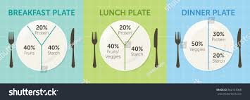 Healthy Eating Plate Diagram Breakfast Lunch Stock Vector