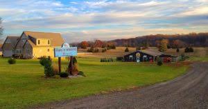 Maybe you would like to learn more about one of these? Paws N Wiskers Resort Llc