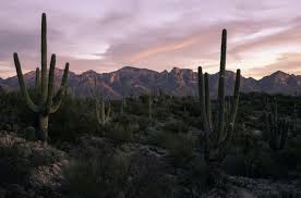 Contact Us Las Vegas Nv Kohn Medical Weight Loss