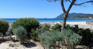 La Plage Des Sablettes A La Seyne Sur Mer Var Belle Plage Ville France Seyne