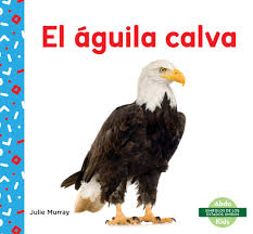 Check spelling or type a new query. El Aguila Calva Bald Eagle Simbolos De Los Estados Unidos Us Symbols Amazon De Murray Julie Fremdsprachige Bucher