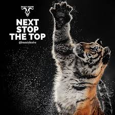 All these will motivate you to help you to hunt your goals and achieve success in life. Comment Top Words By Words Beastdesire Beastdesire Beastdesire Like Comment Tag Welcome To The World O Desire Quotes Warrior Quotes Beast Quotes