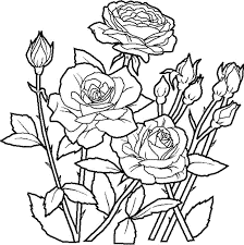 Coloring Pages For Adults Flowers Printable Kids Colouring Pages Rose Coloring Pages Flower Coloring Pages Spring Coloring Pages