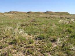 Rick arnold is a wildlife biologist ii with the nebraska game and parks commission in crawford, nebraska. Development Of The Rangeland Production Monitoring Service Could Improve Rangeland Management Rocky Mountain Research Station