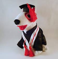 Target Graduation Bullseye Dog 7 Plush Stuffed Animal 2223 Of 2500 Edition 1 Plush Stuffed Animals Animals Plush