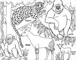 Mowgli and bagheera coloring pages for kids, printable free. Jungle Coloring Pages Best Coloring Pages For Kids Jungle Coloring Pages Giraffe Coloring Pages Animal Templates