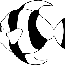 14 transparent png illustrations and cipart matching science black and white. Fish Clipart Black And White Clip Art Panda Free Images Science 4 Png Clipartix