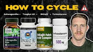 How To Cycle Herbal Supplements To Increase Testosterone - YouTube
