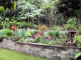 The first layer of the no dig bed will be made up of cardboard or newspaper (don't use the glossy kind), that will act as a weed barrier. Morag S Simple Successful No Dig Garden Method Our Permaculture Life