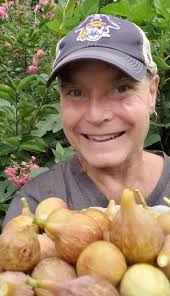 Making fig jam for the first time