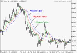 The Alligator Indicator Explained Video Guide