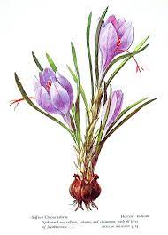 Pin On Watercolor Paintings