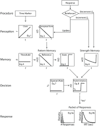 a detailed flow diagram of the processes of perception