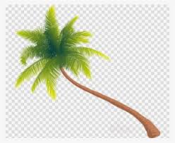 Download for free in png, svg, pdf formats 👆. Palm Tree Png Image Free Download Photo Green Palm Tree Leaves Png Image Transparent Png Free Download On Seekpng