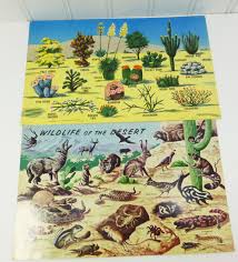 Birds Of The Southwestern Desert Southwestern Wildlife And Plants Postcards Wildlife Of The Desert Plants Of Southwestern Desert 2 Oversize Unused Pos Desert Animals Pet Birds Desert Plants