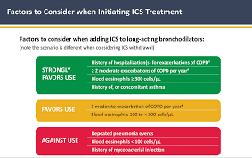 Image result for COPD Exacerbation Decision Tool