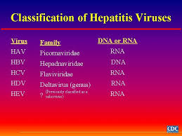In the uk, it accounts for an estimated 99% of. Hepatitis Definition Of Hepatitis L L L Inflammation