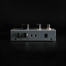 Image result for Psydrax locuples