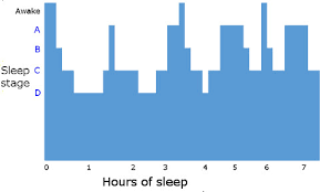 Navigating The Stages Of Sleep Practice Khan Academy