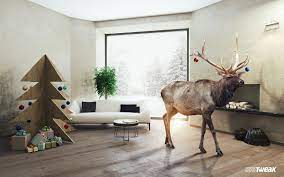Augmented Reality How To Use Google 3d Animals Animals Pet Tiger Augmented Reality