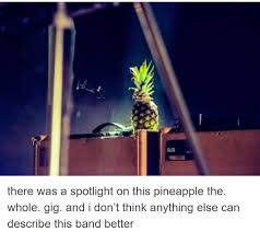 Pineapple Glass Animals Aesthetic Photo Animal Memes