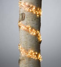 Pin On Christmas