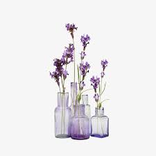 Its resolution is 1265x882 and the resolution can be changed at any time according to your needs after downloading. Lavender Png Polyvore Flower Png Images Lavender Aesthetic
