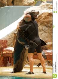 Resultado de imagen de imagenes de loro parque