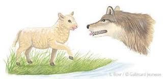 Elle est considérée comme 1 citation très courte. Activite 1 Introduction A La Sequence Pdf Free Download