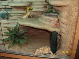 Bearded Dragon Habitat Ideas Page 4 Reptile Forums Bearded Dragon Habitat Bearded Dragon Care Bearded Dragon Enclosure