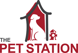 We also have a variety of treats and toys, just the thing for rewarding your pet after its visit to the doctor. The Pet Station Louisville S Best In Pet Grooming Boarding Training And Doggie Daycare