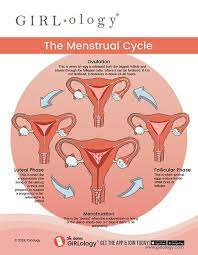 Pin On Hormone And Reproductive Disorders