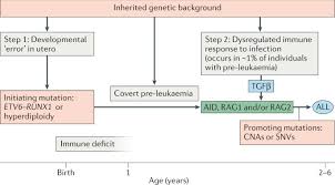 Access to effective diagnosis, essential medicines, pathology, blood products, radiation therapy, technology and psychosocial and supportive care are variable and inequitable around the. A Causal Mechanism For Childhood Acute Lymphoblastic Leukaemia Nature Reviews Cancer